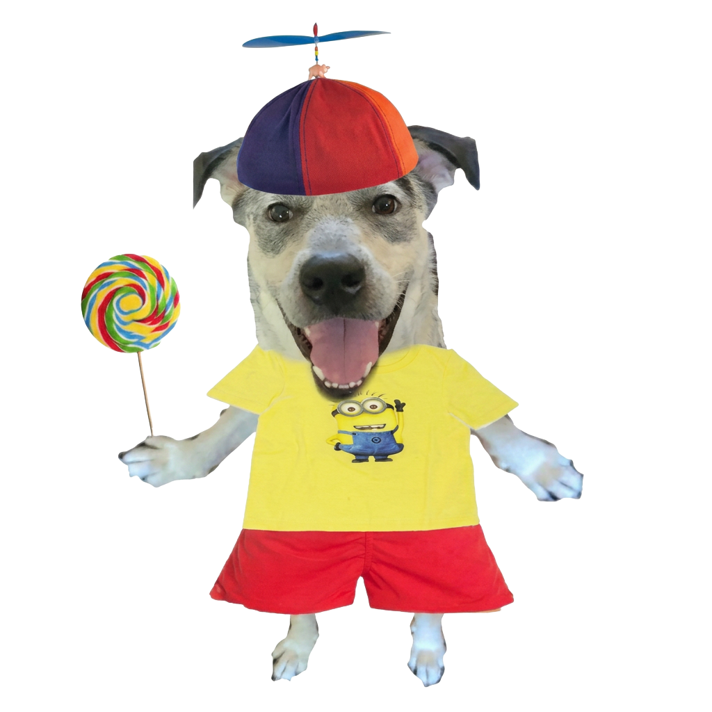 roscoe cutout